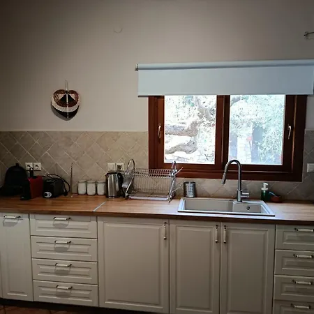 Dalia's House 아파트 니키티