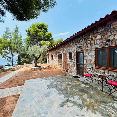 Dalia's House Никити